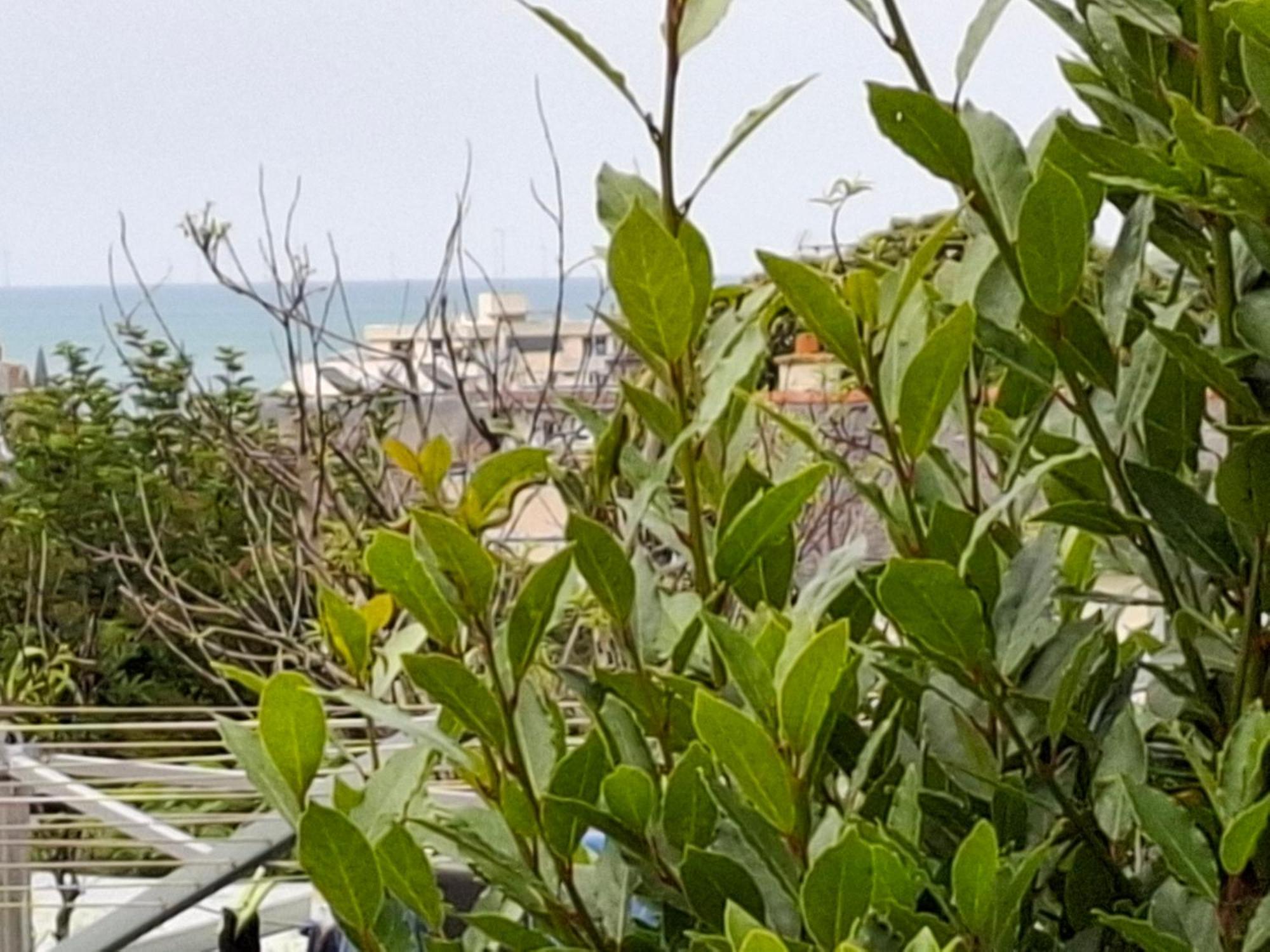Fusains 5 Saint-Quay-Portrieux Εξωτερικό φωτογραφία